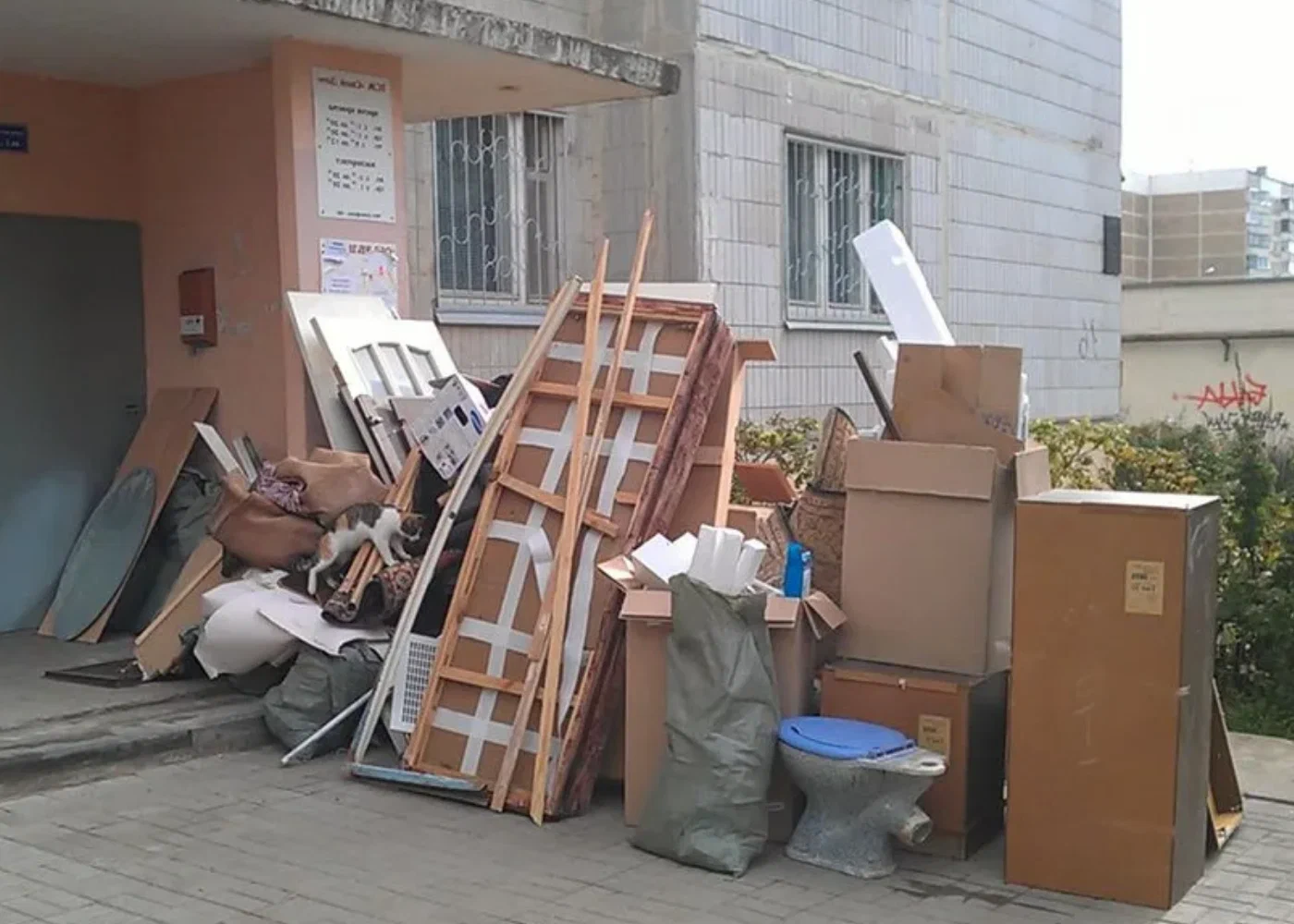 Профессиональный вывоз мусора из квартиры в Сибае в октябре