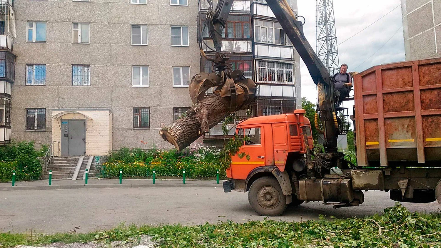 Вывоз спиленных веток и деревьев в Сибае от ПроМусор: порубочные остатки, утилизация, цена от 2980 руб