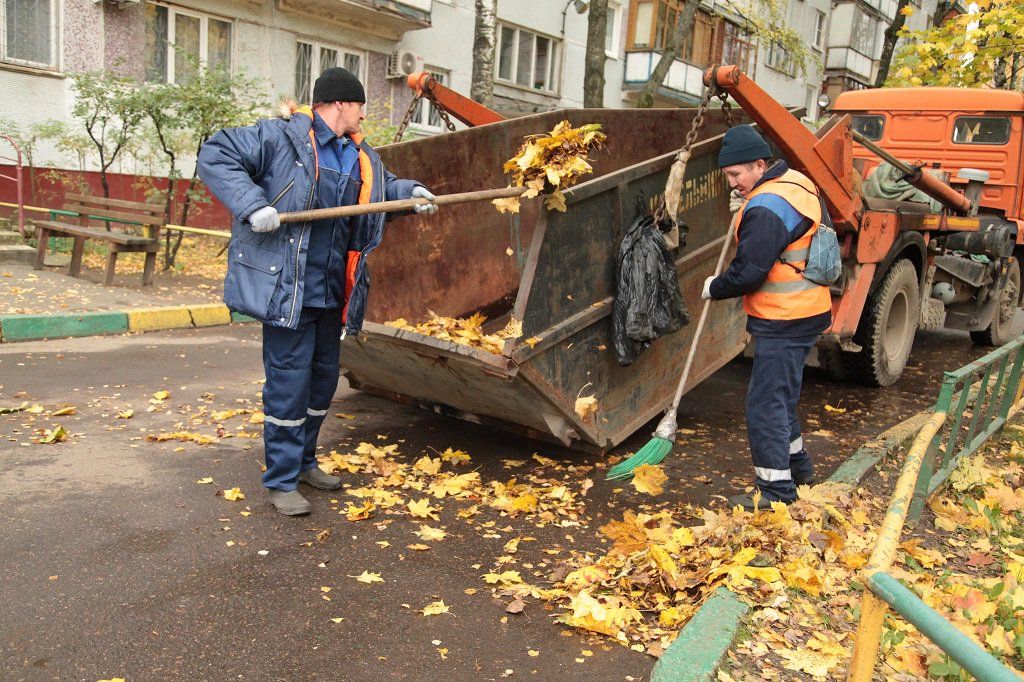Вывоз опавшей листвы и растительного мусора в Сибае от ПроМусор – цена от 4624 руб., быстрая уборка и утилизация